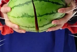 今日吃瓜