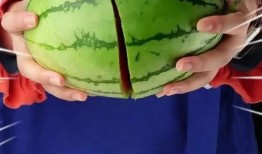 今日吃瓜